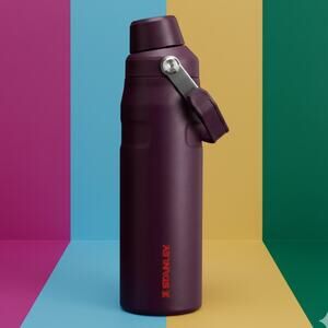 Stanley IceFlow Bottle with Fast Flow Lid | 24 OZ New Year Gift Quencher